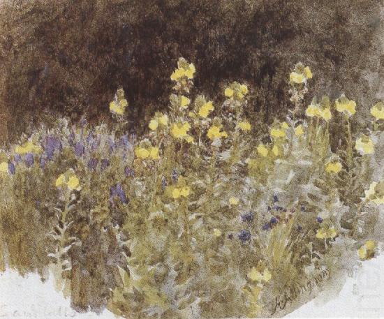 Studies of Flowers (mk37), Helen Allingham,R.W.S